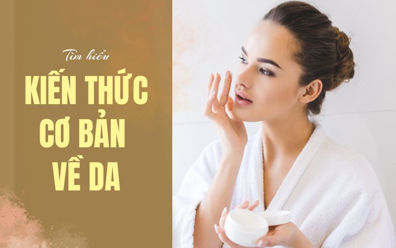 Những kiến thức cơ bản về da mà phái đẹp cần biết