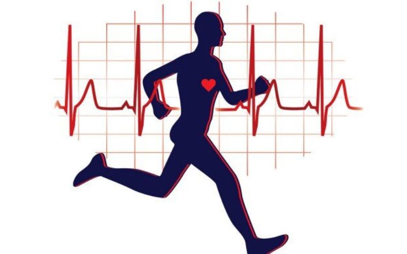 Bài tập cardio giúp đốt cháy calo hiệu quả và tốt cho tim mạch