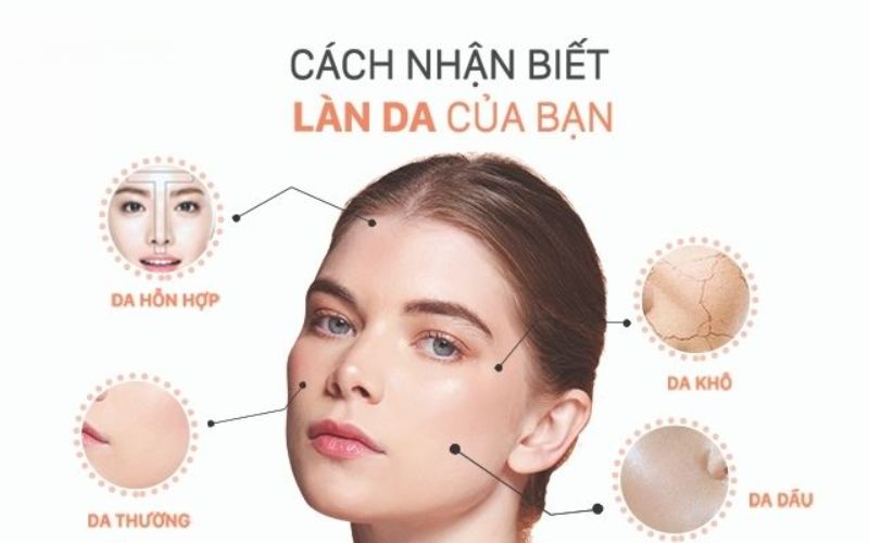 Bạn cần hiểu về các loại da để trang điểm dễ dàng hơn 